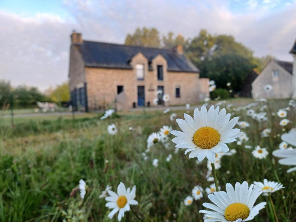 La Chapelle-Caro Au Petit Bonheur De Claire Et Jo Bed & Breakfast エクステリア 写真